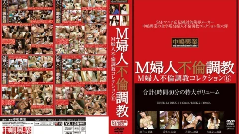 NHSD-013 M Woman Affair play Collection 6