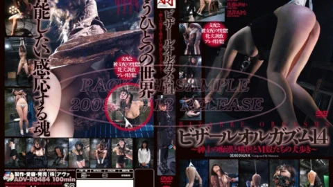 ADV-R0484 Bizarre Orgasm 14 ~ Gentleman’s Molester and Sadism and M Guys’ Dog Walking ~