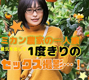 LADY-391 Tangerine 2