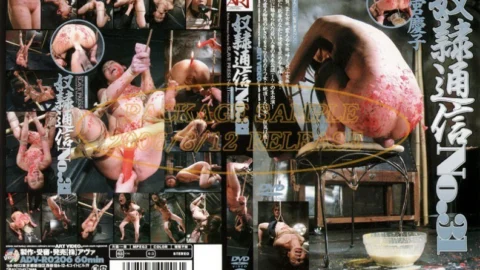 ADV-R0206 Slave Communication No.31