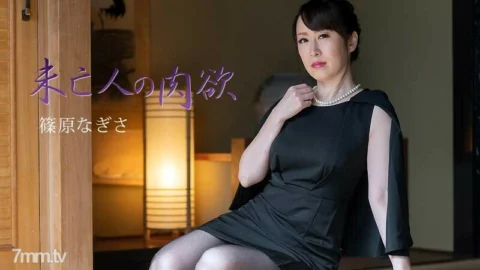 HEYZO-2511 Widow’s Carnal Vol.3
