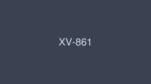 XV-861 The temptation of a beautiful family A provocative mother, an aggressive sister, and a devoted sister.