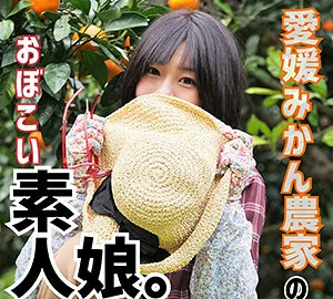 LADY-386 mandarin orange