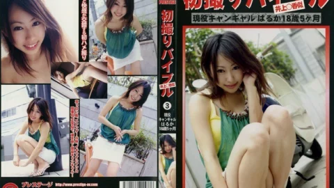 KZD-003 Hatsudori Bible 3