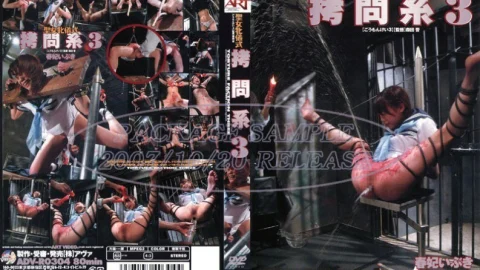 ADV-R0304 Holy Female Ceremony play System 3