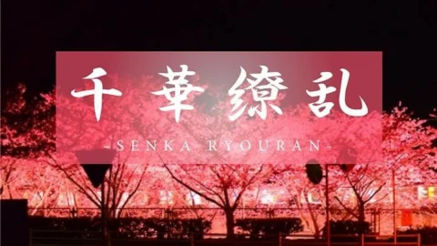 FC2-PPV-3123588 [THE BEST AMAZING ~Kyoku no Kirameki~] I won’t forget about Ayanami. Fate, which should never have met, begins to move. A new world just for the two of us. Uta Ayanami 18 years old